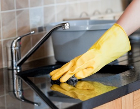 Professional stain removal for carpets in a Haringey home