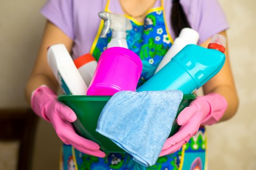 Deep carpet care and stain removal service in Haringey