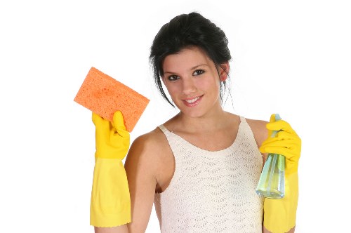 Zero-tolerance policy section for Haringey carpet cleaners