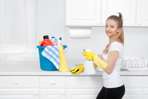 Professional carpet steam cleaning in a North London property