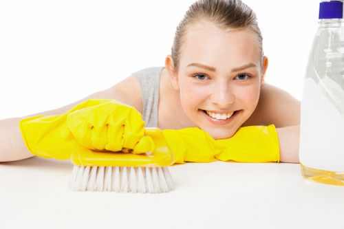 Carpet steam cleaning service for homes and businesses in Haringey