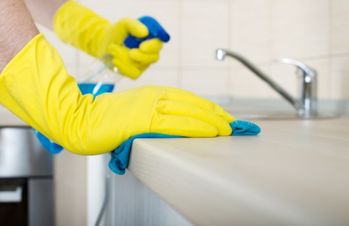 Local cleaner working in a Haringey flat or terrace home
