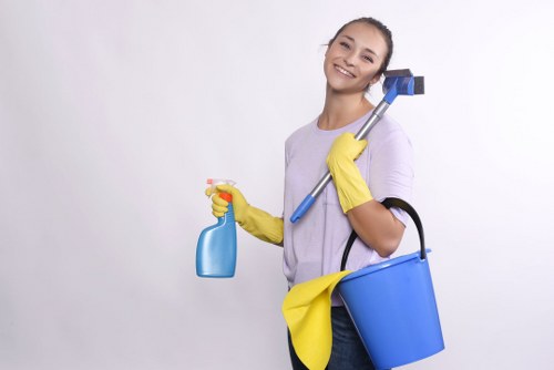 Professional cleaning of conservatory glass in Haringey