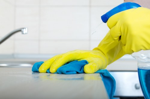 Deep cleaning a carpet in a Haringey flat