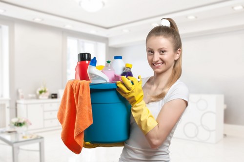 Deep cleaning of bathroom fixtures during an end of tenancy clean
