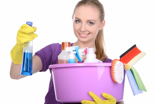 Upholstery cleaning for a sofa in a Haringey property