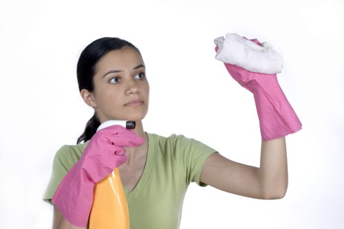 Oven cleaning for a flat or apartment in Haringey