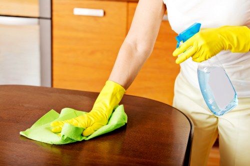 Local cleaning team working in a Haringey property
